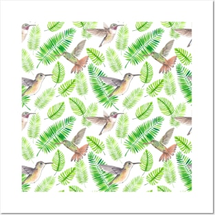 Hummingbirds and tropical leaves Posters and Art